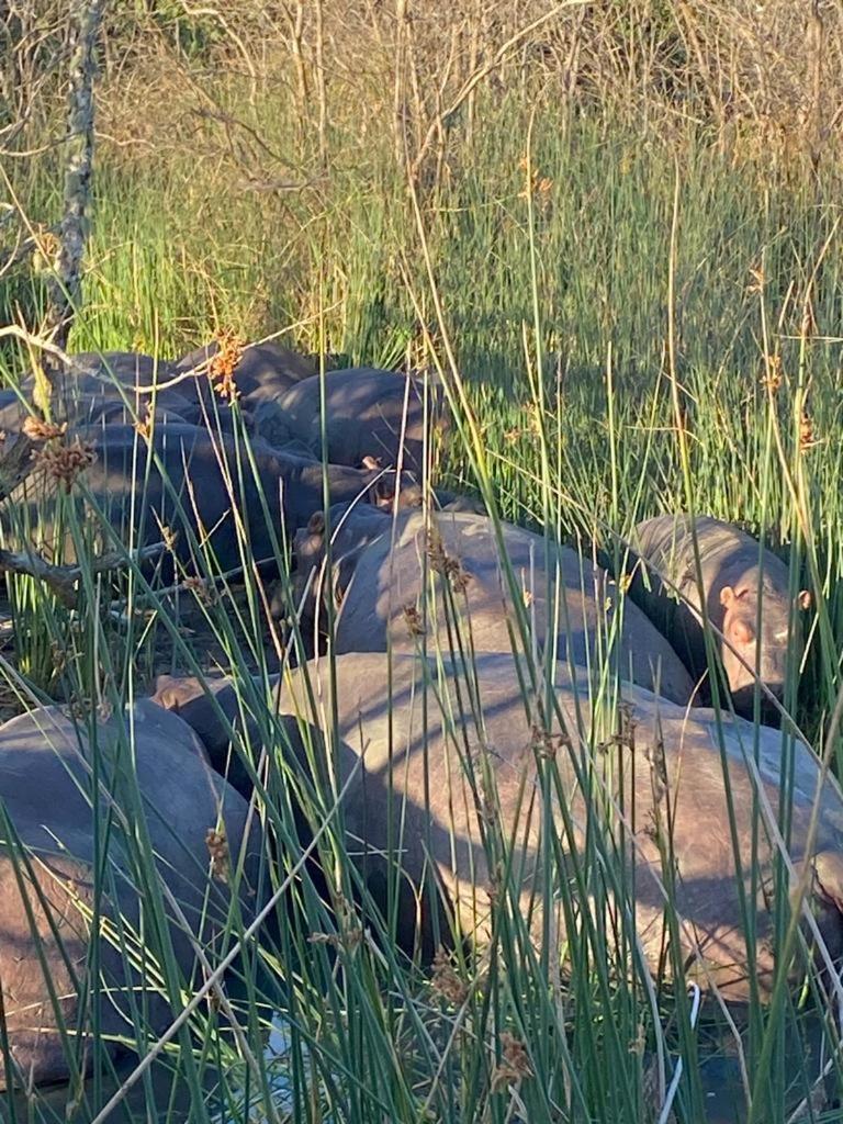 Вилла El Seuno De Africa -The Dream Of Africa Сент-Люсия Экстерьер фото
