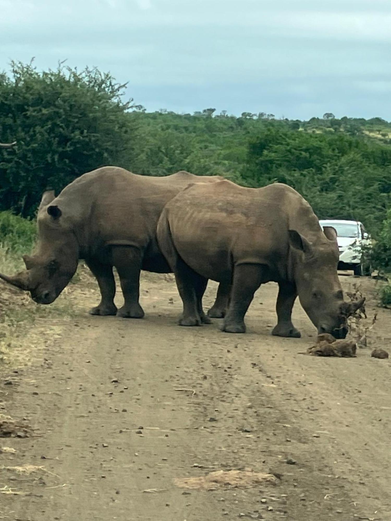 Вилла El Seuno De Africa -The Dream Of Africa Сент-Люсия Экстерьер фото